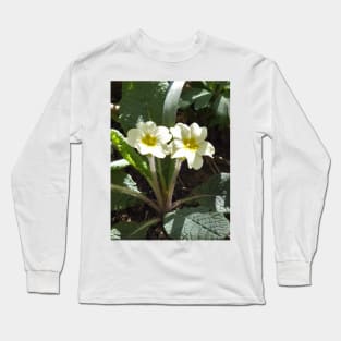 Yellow Primrose Flower Long Sleeve T-Shirt